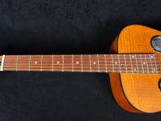 Dobro Dobro Hound Dog Deluxe Round Neck Vintage Brown 2nd_4