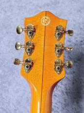 Gretsch 【春の中古ギター祭り】G6120CGP Chet Atkins Stereo Limited Edition 【2008'sUSED】_5