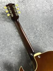 Greco 【春の中古祭り】ClearSoundProject  FA-95  -Sunburst- 【1991'sUSED】_6