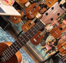 Kamaka HF-2 110th【コンサートサイズ】【ハワイアンコア単板】【2026年製】_6