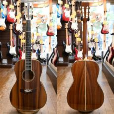 Takamine SAN-30K_2