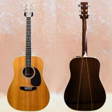 Martin D-35_2