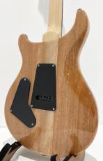 Paul Reed Smith [PRS] SE Custom 24 / Blue Matteo【2024年製】_6