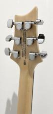 Paul Reed Smith [PRS] SE Custom 24 / Blue Matteo【2024年製】_9