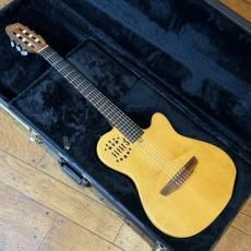 Godin ACS_2