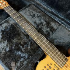 Godin ACS_5