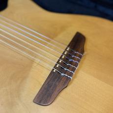Godin ACS_6