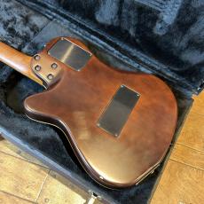 Godin ACS_9