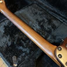Godin ACS_10