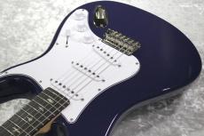 Paul Reed Smith [PRS] 【3.45kg】SE SILVER SKY ROSEWOOD -Trad Blue- #CTI H035202【2025年製】_5