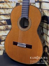 Juan Hernandez [ホアン・エルナンデス] ホアン・エルナンデス Concierto C 杉・ローズ 【期間限定小物5点サービス】【日本総本店2F 在庫品】_2