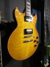 Gibson Custom Shop Mini Kessel "Proto #001"_4