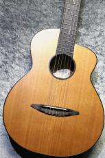 aNueNue 【USED】 ann-n520ace 【エレガット】【美品中古品】【池袋店在庫品】