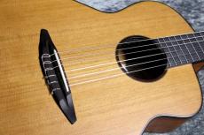 aNueNue 【USED】 aNN-N520ACE 【小ぶりエレガット】【美品中古品】【池袋店在庫品】_3