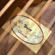 Taylor 【試奏動画あり】GS Mini-e Rosewood SB #2201075397【小ぶりながら力強く響くミニギター】【送料当社負担】【池袋店在庫品】_10