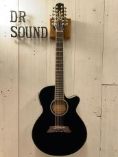 Takamine CTM TSP138C-12strings ~Deep Dark Blue~【無金利分割OK】【送料は当社負担】_2