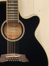 Takamine CTM TSP138C-12strings ~Deep Dark Blue~【無金利分割OK】【送料は当社負担】_3