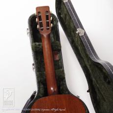 Martin CTM 0-18 12F (Adirondack Spruce)_9