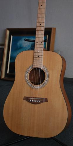 ノーラベル 製作者不明のドレッドノート　オール単板仕様