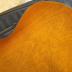 Godin 【デモ動画あり】5th Avenue Jumbo P90 Harvest Gold #0501519000123【送料当社負担】【池袋店在庫品】_16