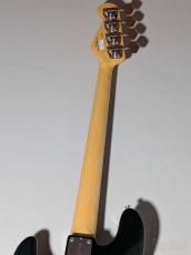 FUJIGEN NJB100RAL -Candy Apple Green- #J230717【4.31kg】_7