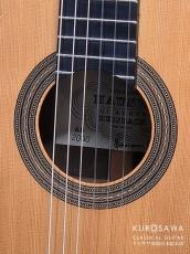 Hermann Hauser ヘルマン・ハウザー3世 2000年製 Torres / Llobet 松・ハカランダ 645mm【日本総本店2F 在庫品】
