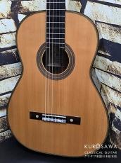 Hermann Hauser ヘルマン・ハウザー3世 2000年製 Torres / Llobet 松・ハカランダ 645mm【日本総本店2F 在庫品】_3