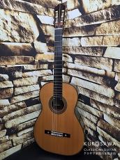 Hermann Hauser ヘルマン・ハウザー3世 2000年製 Torres / Llobet 松・ハカランダ 645mm【日本総本店2F 在庫品】_4