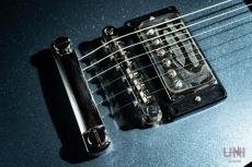 Epiphone Inspired by Gibson Custom Dave Grohl DG-335 / 2024_6