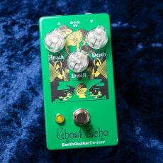 Earth Quaker Devices Brain Dead Ghost Echo
