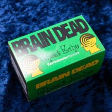 Earth Quaker Devices Brain Dead Ghost Echo_6