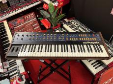KORG Polysix 【整備済み】【中古】