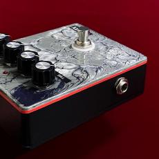 Trinity FLUID ECHO "S/N #003" 【名作Echoplexスタイルのディレイ】_6
