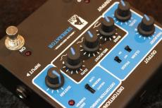 GOAT "BLUESERIES" GENERATOR(II)【名機Rockman Distortion Generatorを再設計】【USED】_6