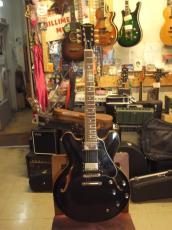 Edwards E-SA-160LTS_2