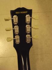 Edwards E-SA-160LTS_5
