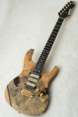 FREEDOM CUSTOM GUITAR RESEARCH HYDRA 24F 2Point -Buckeye Burl Maple Satin Natural-_2