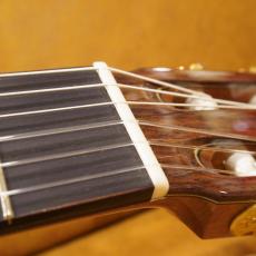 ASTURIAS 辻渡(Wataru Tsuji) S-1/S_6