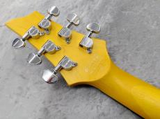 SCHECTER C-6 PLUS EM_8