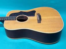 Gibson J-55_4