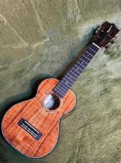 Kamaka 【大阪サウンドメッセ出展予定商品!】HF-2D2I Concert Deluxe #240887 【コンサート・デラックス】【送料込】_2