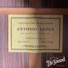 Antonio Lopez [アントニオ・ロペス] Profesional 杉・ローズウッド 2023年新作_8
