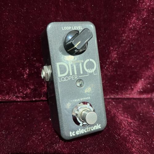 tc electronic Ditto Looper