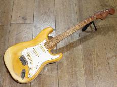 Fender Stratocaster Mod._2