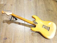 Fender Stratocaster Mod._3
