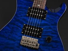 Paul Reed Smith [PRS] SE Custom 24 25th Anniversary RB ~Royal Blue~_5