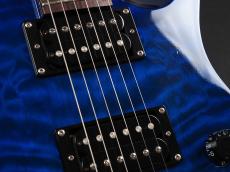 Paul Reed Smith [PRS] SE Custom 24 25th Anniversary RB ~Royal Blue~_6