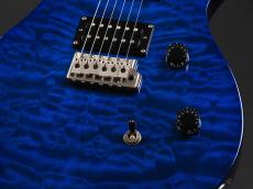 Paul Reed Smith [PRS] SE Custom 24 25th Anniversary RB ~Royal Blue~_7