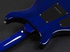 Paul Reed Smith [PRS] SE Custom 24 25th Anniversary RB ~Royal Blue~_12