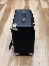 Fender Frontman 10G_5